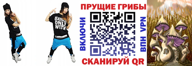 blacksprut рабочий сайт  Людиново  Псилоцибиновые грибы прущие грибы 